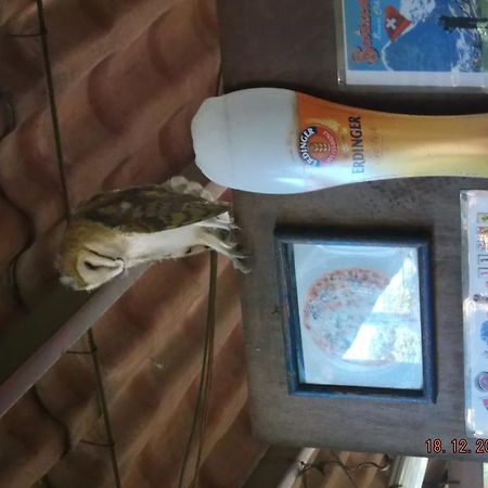 Charlys-Bungalows Hotel Margaritas Luaran gambar