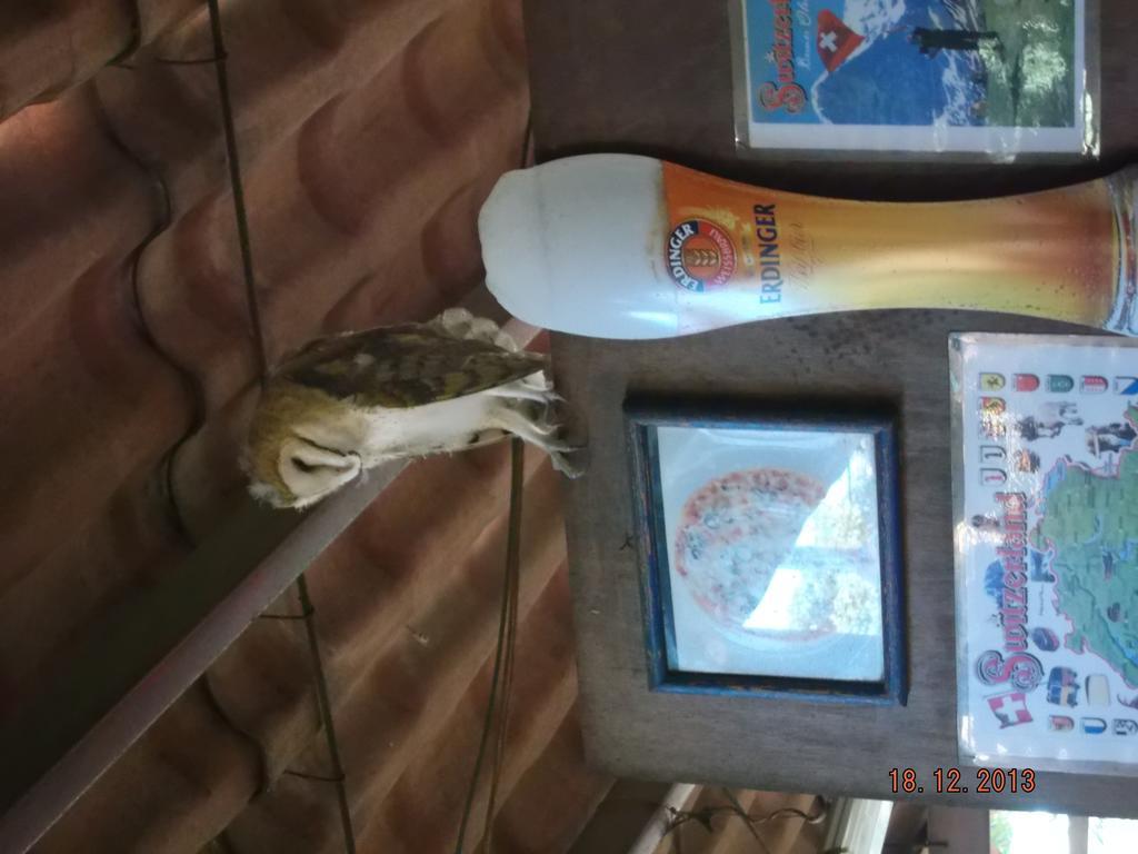 Charlys-Bungalows Hotel Margaritas Luaran gambar